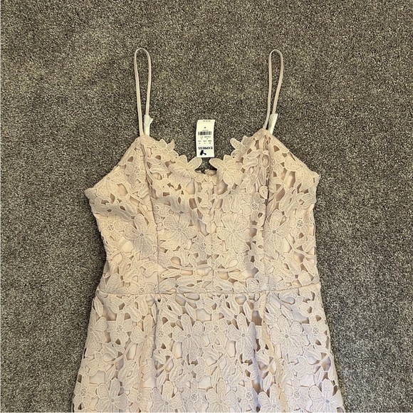 Express Women's Pink Floral Lace Midi Dress Sleeveless Size M - Medium - NWT$118 - Picture 4 of 16